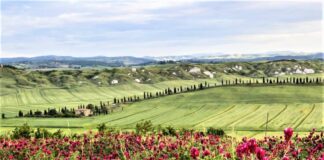 Via Lauretana, a piedi da Siena a Cortona come gli antichi pellegrini
