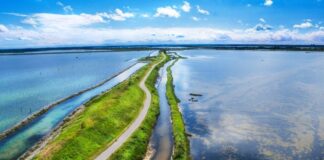 Delta 2000, nuovi percorsi accessibili nel Delta emiliano-romagnolo