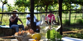 Strada del vino e dei sapori del Trentino, con Gemme di Gusto 2021 incontri di natura ed enogastronomia