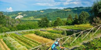 Emilia-Romagna, vivere i territori di Imola (Bo) e Faenza (Ra) a piedi ed in bicicletta