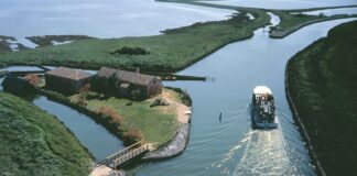 Delta del Po, con Primavera Slow 2021 la natura è protagonista
