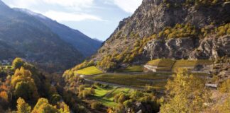 D’estate 2021 il gusto della Valle d’Aosta in un bicchiere di vino