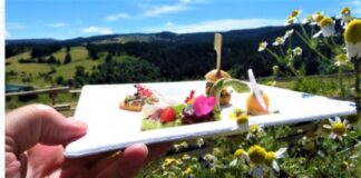 Altopiano di Asiago, il piatto si colora di gusto con il finger food