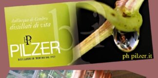 Distilleria Pilzer, eccellenti grappe e fini acquaviti tra tradizione e innovazione
