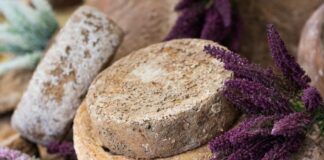 Bra (Cn) al via la 13^edizione di Cheese, rassegna internazionale di formaggi