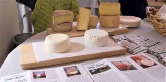 L’ Azienda agricola Stella Alpina (Cn) produce formaggi di gusto e qualità