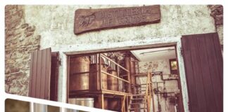 Quero Vas (Bl), alla Distilleria Le Crode grappa della tradizionale di qualità e gusto
