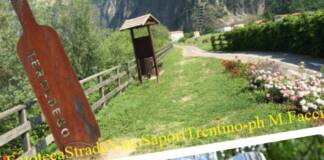 Al via la rassegna “A tutto Teroldego” 2022 lungo la Strada del Vino e dei Sapori del Trentino