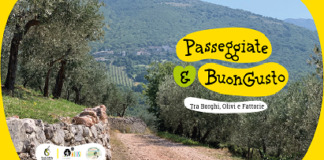 Umbria, con Passeggiate & buon gusto. Borghi, ulivi e fattorie, l’oleoturismo è protagonista