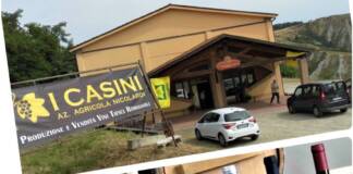 Riolo Terme (Ra), azienda vitivinicola “I Casini”, tra tradizione e innovazione per vini di eccellente qualità