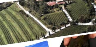 Franciacorta-Cantina Coronea, un piccolo mondo vitato che esalta vini prestigiosi