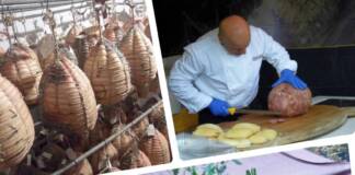 Bassa parmense, lungo la Strada del Culatello per un sorprendente itinerario di gusto