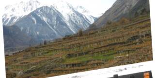 Valle d’Aosta, vigne e vini a due passi dal cielo