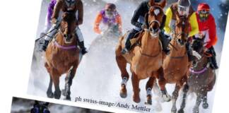 White Turf St. Moritz 2023, 116 anni di corse internazionali di cavalli sulla neve