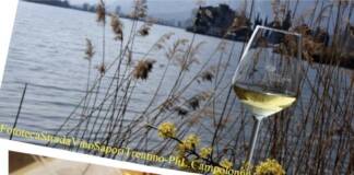 Trentino, Valle dei Laghi in festa con “Divin Nosiola” 2023