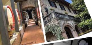 Piccini 1882, l’eccellenza vitivinicola che abbraccia l’Italia