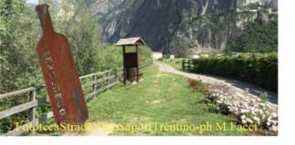 Mezzocorona (Tn), la Mostra del Teroldego Rotaliano propone il principe dei vini trentini
