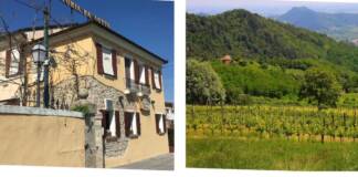 Prodotti d’eccellenza ed enogastronomia di qualità: i Colli Euganei che sorprendono