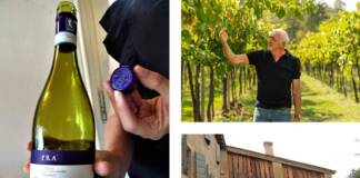 Monteforte d’Alpone (Vr), azienda vitivinicola Graziano Prà, l’eccellenza dei vini tra tradizione ed innovazione