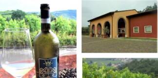 Soave (Vr), Cantina Balestri Valda tra viticoltura biologica ed ospitalità di lusso