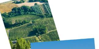 Camerano (An), un territorio e il suo vino