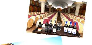 Bardolino (Vr), Cantina Zeni 1870: la tradizione dell’eccellenza vinicola