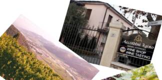 Valpolicella, Cantina Accordini Igino, un secolo di produzione vinicola di qualità