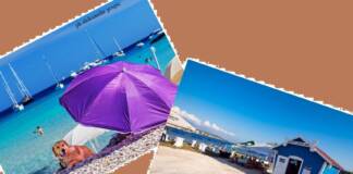 In Croazia, per trascorrere le vacanze anche in compagnia degli amici a quattro zampe