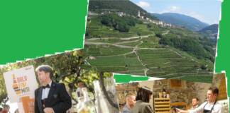 Trentino, con Dolo-Vini-Miti 2024 torna il Festival dei vini verticali