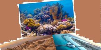 In Arabia Saudita alla scoperta anche della magia del Mar Rosso