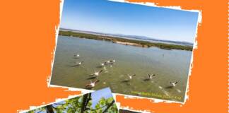 Il FAI organizza per domenica 7 settembre 2025 la XII^ edizione della “Giornata del Panorama”