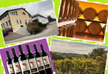 Cantina Cavazza – Nuova veste per la linea Cicogna, eccellenza dei vini rossi dei Colli Berici