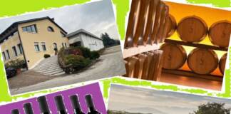 Cantina Cavazza – Nuova veste per la linea Cicogna, eccellenza dei vini rossi dei Colli Berici